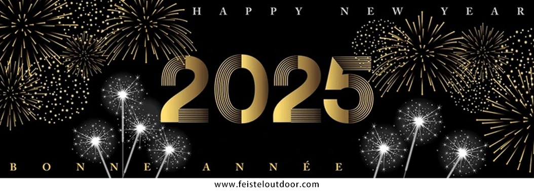 Celebrates 2025 New Year's Day
