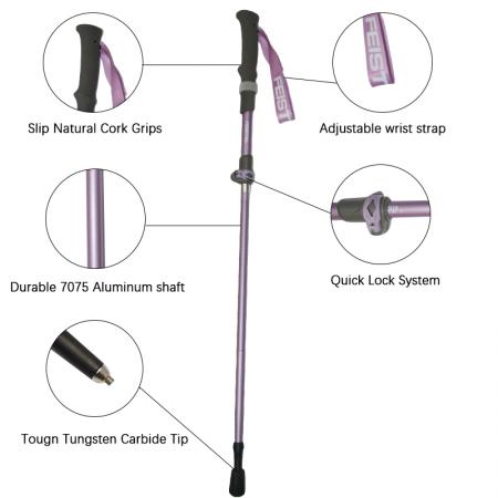 Bastones de trekking plegables, ligeros, ajustables y de fibra de carbono de 3 secciones con puntas de acero de tungsteno. 