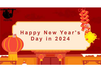 Celebrando el día de Año Nuevo y dando la bienvenida al Año Nuevo
        