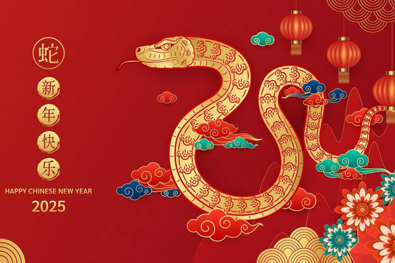 Adiós al viejo y bienvenido a lo nuevo, celebrando el Año Nuevo Lunar 2025